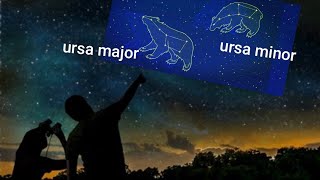 Ursa Major and Ursa Minor 🐻😲the constellations Ursa Major and Ursa Minor shorts [upl. by Yslek]