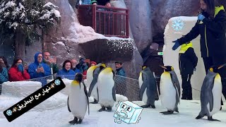 نهار واعر في قرية الثلج❄️☃️مع البطريق🐧mall of the emirates penguins ski dubai [upl. by Ecirtram]