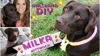 ♡ Milka Mittwoch ♡ Halsband DIY [upl. by Ueihttam]