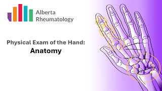 Rheumatology HAND exam Part 1 Anatomy [upl. by Levins]