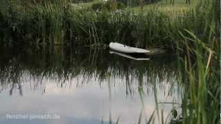 Nikon D7000 Video Summer Day [upl. by Andrus]