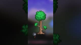 3 Terraria Seeds You Should Try [upl. by Euell52]