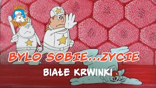 Bylo Sobie Zycie 🌱 Białe krwinki 🧘 [upl. by Renwick]