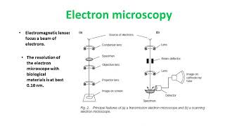 Demystifying Microscopy Understanding the Principles Behind the Microbiological Magic [upl. by Amsa20]