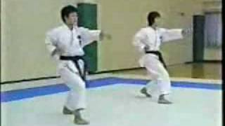 Karate Shotokan  JKA  Kihon [upl. by Jephthah31]