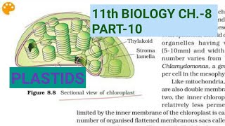 Class 11 Biology Ch8Part10PlastidsStudy with Farru [upl. by Conall601]