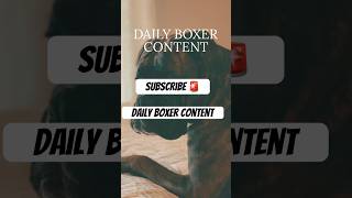 STEP 1 Click “Subscribe” STEP 2 Like amp Comment STEP 3 Complete steps 1 amp 2 nalatheboxer [upl. by Lissak460]