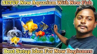 New Aquarium Fish Collection  New Aquarium Setup  How To Setup Colour Fish Aquarium aquarium pet [upl. by Nirrat]