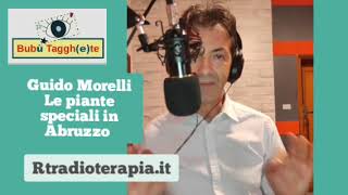 Piante speciali dAbruzzo con Guido Morelli [upl. by Ailido]