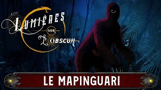 LUMIÈRES SUR LOBSCUR  LE MAPINGUARI [upl. by Hahnke]