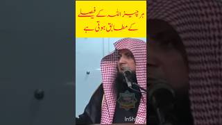 Har cheez Allah ke faislay ke mutabiq hoti hai  Qari Sohaib Ahmed allah faisla taqdeer shorts [upl. by Reffinnej435]