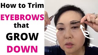 😉 How to Trim Your Eyebrows that Grow Down [upl. by Kirsch]