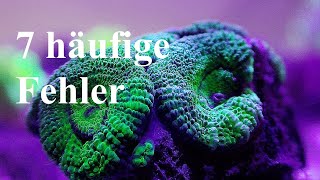 7 Fehler beim Start eines Meerwasseraquariums [upl. by Mazur]