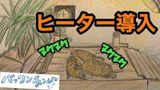 ニホンイシガメ・淡水魚水槽にヒーター導入 [upl. by Creamer181]