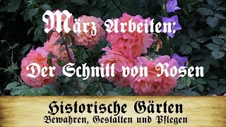 Arbeiten im März Der Schnitt von Rosen Strauchrosen Kletterrosen Wildrosen und Stammrosen [upl. by Alyk]