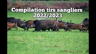 ☆54 tirs  compilation tirs sangliers best of 20222023☆ [upl. by Gnot231]