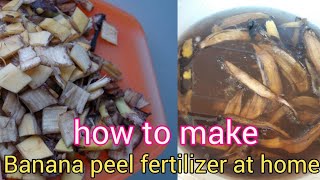 How to make banana peel fertilizer [upl. by Magel]