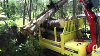 Transporteur C30R Yanmar avec Chargeuse Woody [upl. by Lasser]