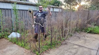 NUISANCE Neighbours Threaten Violence On Homeowner With Cancer After His Lawn Became Overgrown [upl. by Bettencourt241]