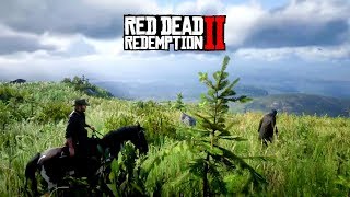 Arthur habla sobre su hijo  Red Dead Redemption 2 [upl. by Yoko208]