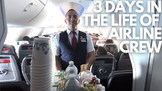 FLIGHT ATTENDANT LIFE  SCHEDULING AND PAY VLOG [upl. by Russ]