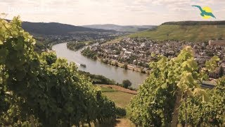 🍇Flusskreuzfahrt auf RHEIN und MOSEL  Weinzauber mit MS ALENA I Phoenix Reisen TV 90 Teil 2 [upl. by Donell]