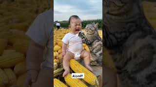 Funny video viralvideo viralshort funny video viralvideos [upl. by Fraze]