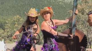 Cumberland Gap  The Hillbilly Goats official video [upl. by Chicky]