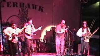 Bela Fleck amp The Flecktones  Winterhawk Grey Fox Bluegrass Festival 98 [upl. by Seuqcaj]