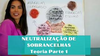 Neutralização de Sobrancelhas com Cores Indesejadas  Teoria Parte 1 [upl. by Elery]