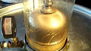 See Thru oil Centrifuge filtering wvo [upl. by Osmund299]