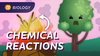 Chemical Reactions in Biology Crash Course Biology 26 [upl. by Hudgens]