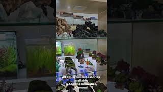 Aquatic Remedies Aquarium shop Chennai [upl. by Acimak]