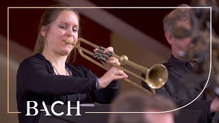 Bach  Easter Oratorio Kommt eilet und laufet BWV 249  Van Veldhoven  Netherlands Bach Society [upl. by Leela]