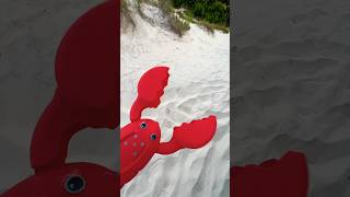 Knocking Down Sand Castles with Larry 🦞 plasticpollution toys beach sandcastle trash lobster [upl. by Micaela]