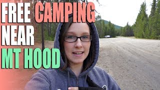 FREE Camping Near Mt Hood  Trillium Lake Airstrip  Campground Review [upl. by Loutitia]