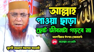 আল্লাহ পাওয়া ছাড়া ছোট জীবনটা গড়বে না  মুফতি নজরুল ইসলাম কাসেমী  Nazrul Islam Kasemi new waz 2024 [upl. by Ecirtel]