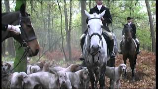 SCHLEPPJAGD TRIPLE B HUNT  Meute TripleBHunt in Herkenbosch NL 3112012 [upl. by Anilem]