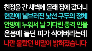 실화사연 친정을 간 새벽에 몰래 집에 갔더니 현관에 널브러진 낯선 구두의 정체 안방에 누워서 날 기다린 충격 인물 온몸에 돌던 피가 식어버리는데 ㅣ라디오드라마ㅣ사이다사연ㅣ [upl. by Amsirahc]