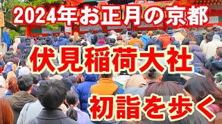 2024年11日元日 正月初詣の京都 伏見稲荷大社を歩くFushimi Inari Shrine New Years walk [upl. by Studley]