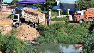 Good project with nice skill bulldozer operator pushing soil with dump trucks [upl. by Ahcarb]