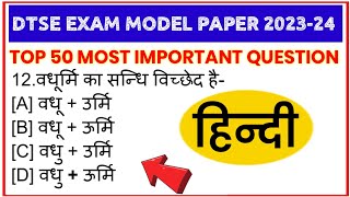 Dtse Exam Model Paper 202324  Hindi Top 50 Questions  dtse exam paper 2024 [upl. by Ahtelrac]