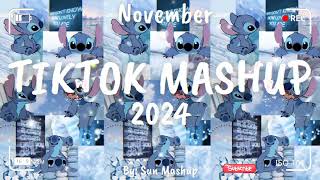 Tiktok Mashup November 💙2024💙 Not Clean [upl. by Amesari]