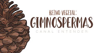 GIMNOSPERMAS  Reino Vegetal [upl. by Kruger]