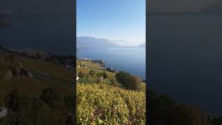 Swiss Lavaux [upl. by Yltneb524]