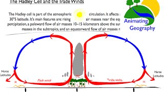 Hadley Cell Trade Winds and Desert Formation [upl. by Llert]