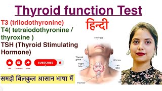 Thyroid Function Test in Hindi  T3  T4  TSH  Hindi  Biochemistry  MLT [upl. by Berthold]