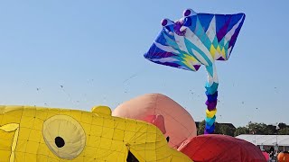 Festival der Riesendrachen in Berlin  Tempelhof [upl. by Cohen]