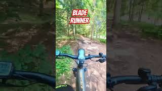 BladeRunner PaganelllaBikePark trentino [upl. by Yrelav205]