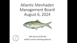 Atlantic Menhaden Board Proceedings Summer 2024 [upl. by Joung]